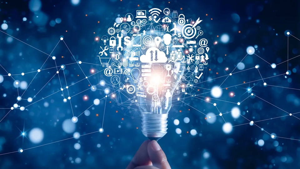 Digital Solutions & Capacity Development